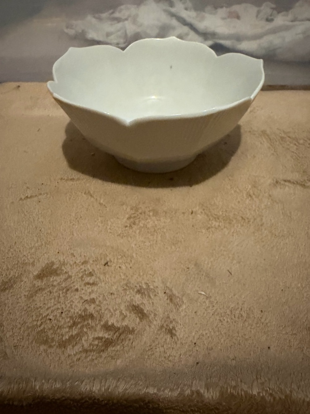 White Floral-Edge Porcelain Bowl